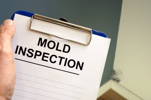 Best Asbestos and Lead Testing During Mold Inspection  in Pomona, CA